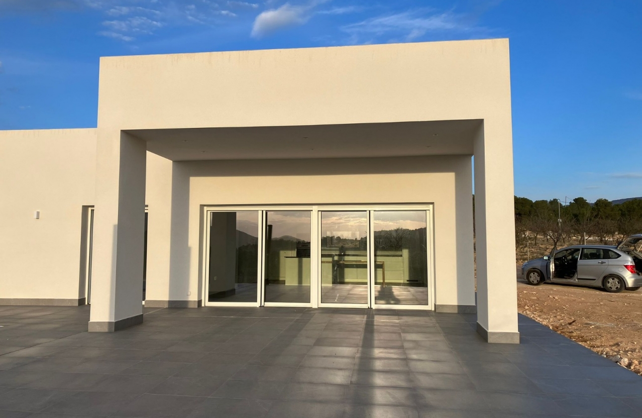 Obra nueva - Detached - Pinoso