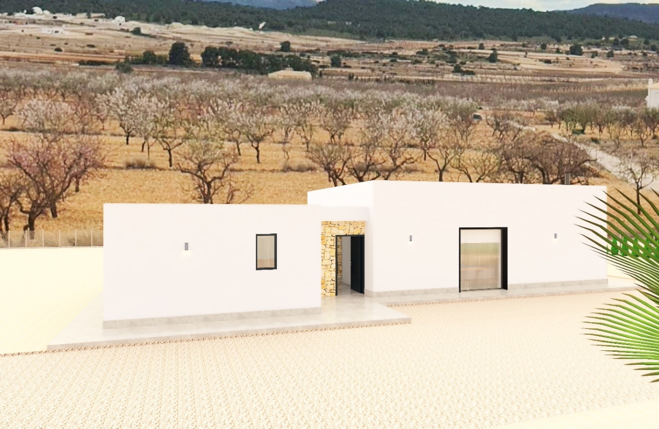 Obra nueva - Detached - Pinoso