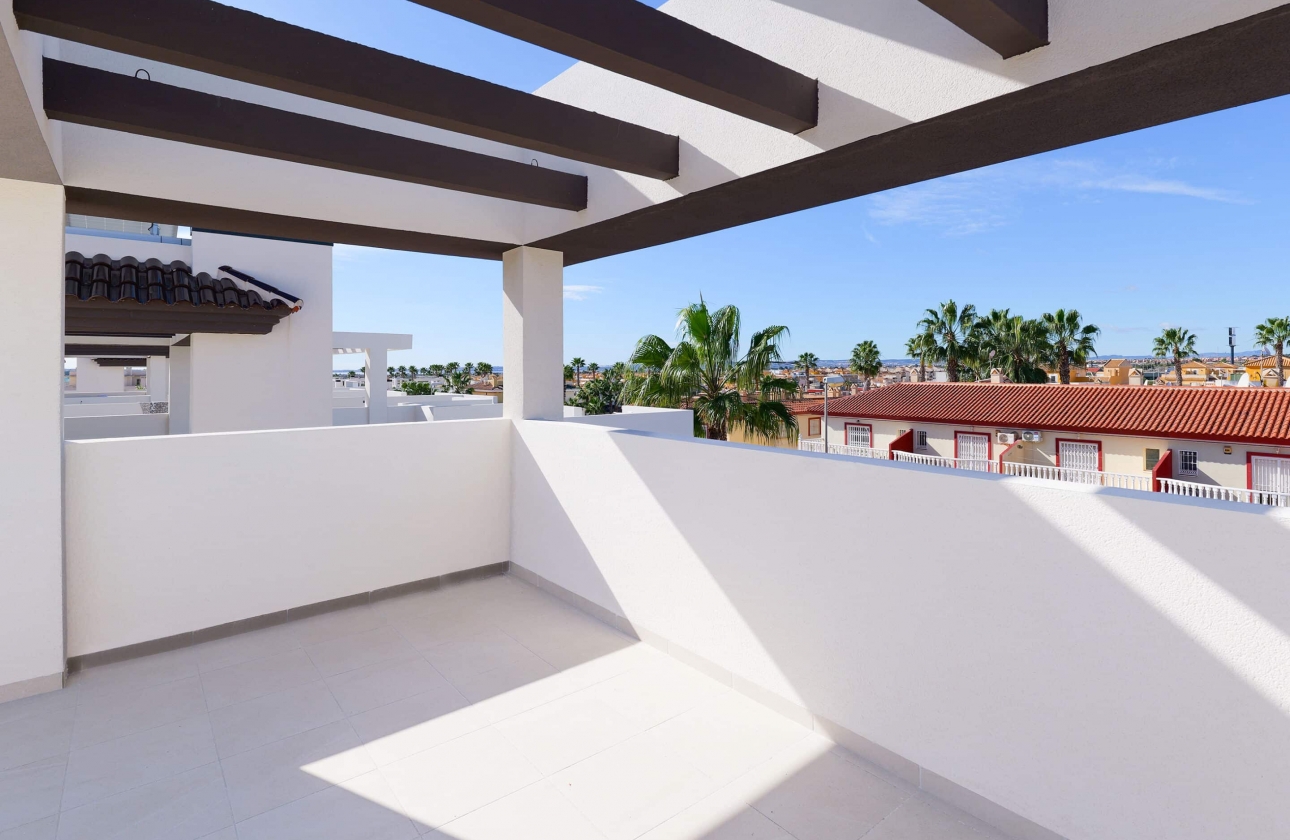 Obra nueva - Pareado - Rojales