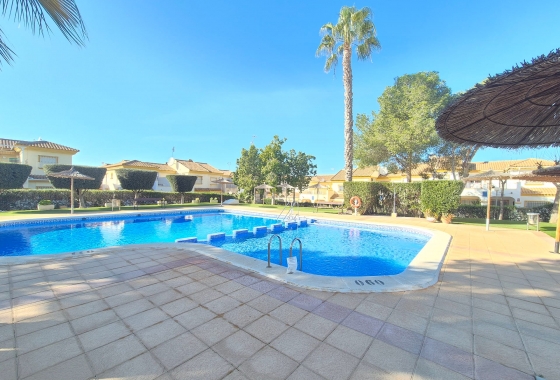 Pareado - Reventa - Torrevieja - Los Altos