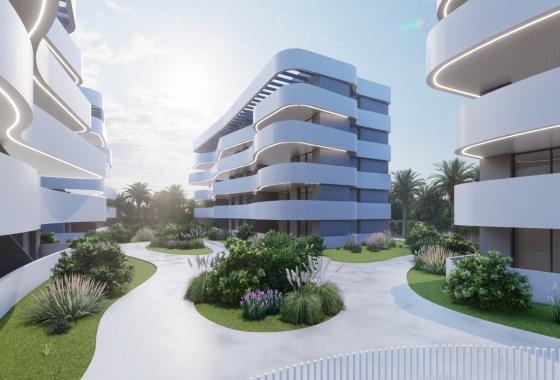 Penthouse - Rynek pierwotny - Guardamar del Segura - Guardamar del segura