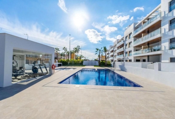 Penthouse - Rynek pierwotny - Torrevieja - Torrevieja