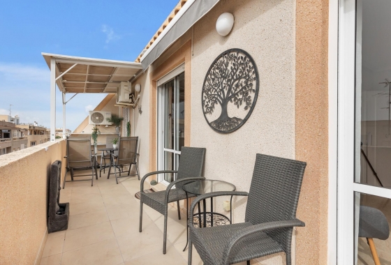Penthouse - Rynek wtórny - Torrevieja - Estacion de autobuses