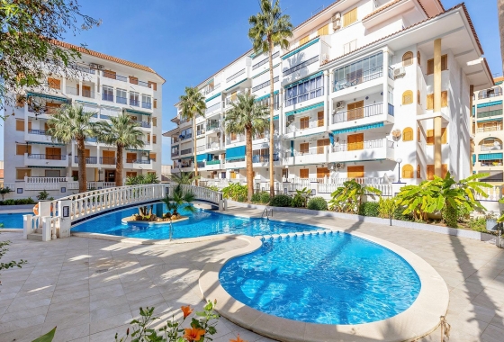 Penthouse - Rynek wtórny - Torrevieja - Los Europeos