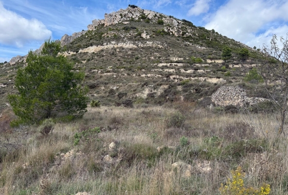 Plot / Land - Resale - Confrides - Barranc de Xarquera