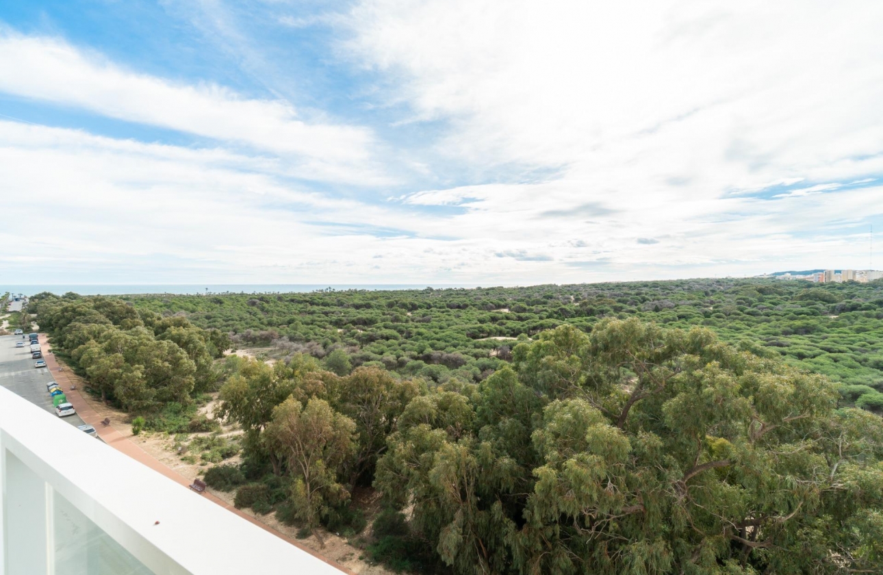 Resale - Apartment - Guardamar del Segura - Guardamar Playa