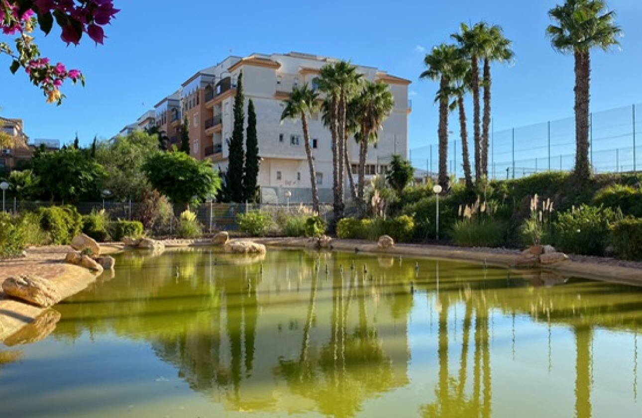 Resale - Apartment - Orihuela Costa - Playa Flamenca