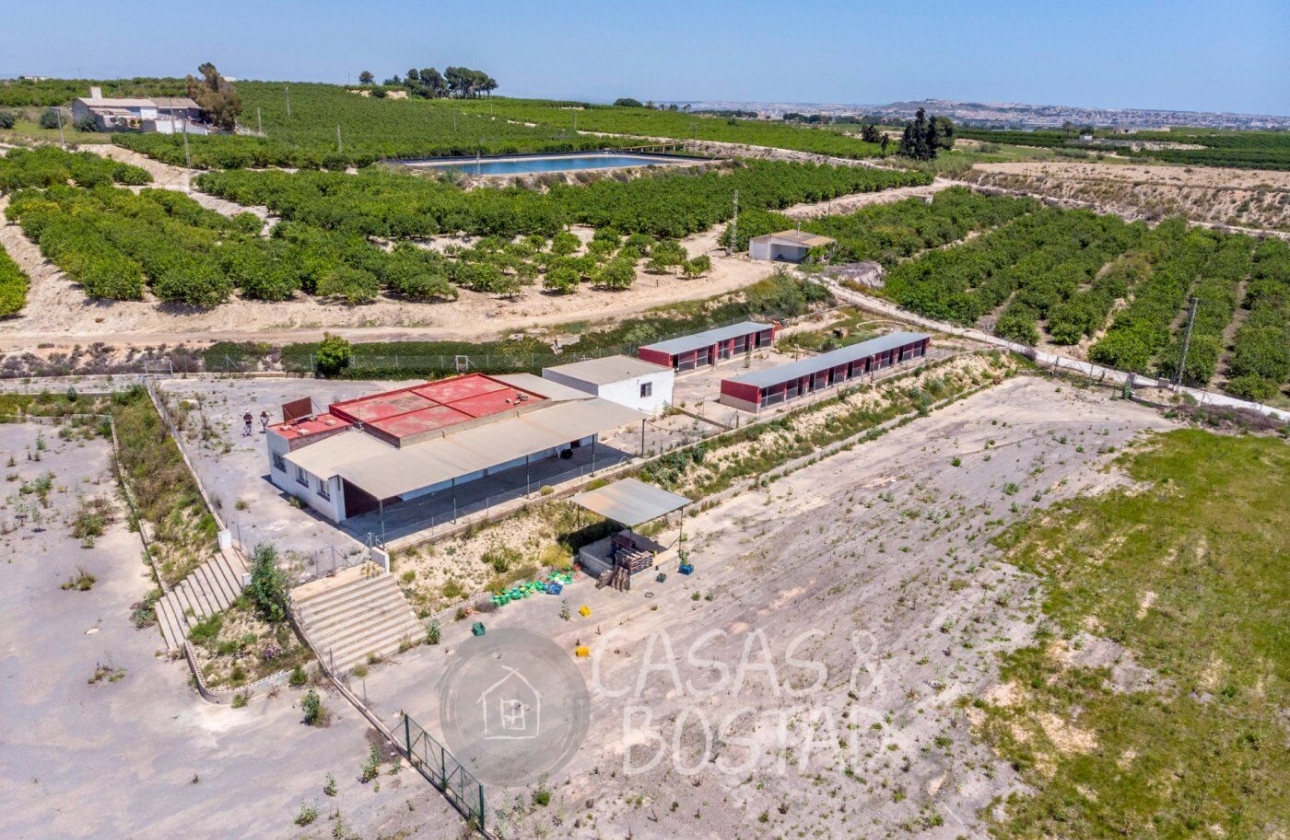 Resale - Country House - Los Montesinos