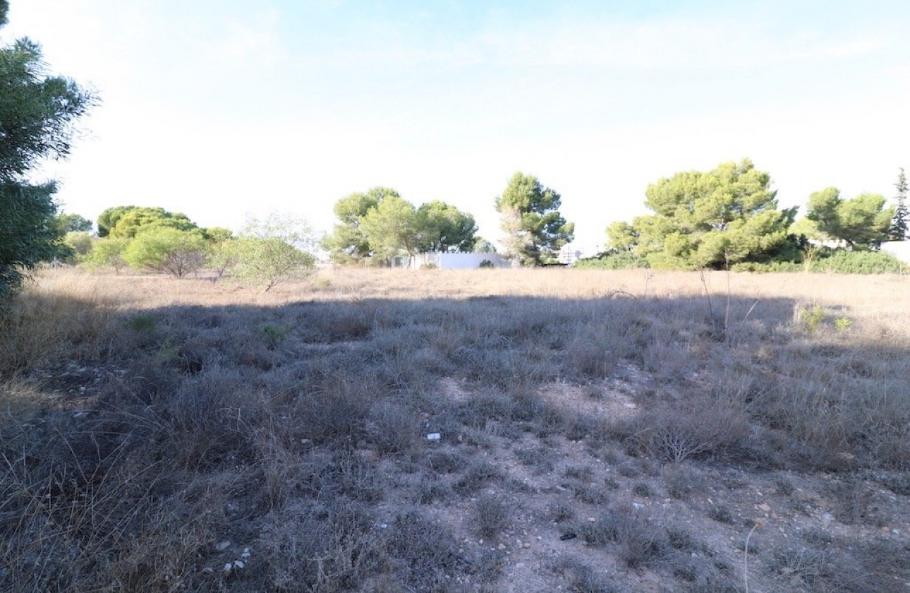 Resale - Plot / Land - Orihuela Costa - Lomas de Cabo Roig