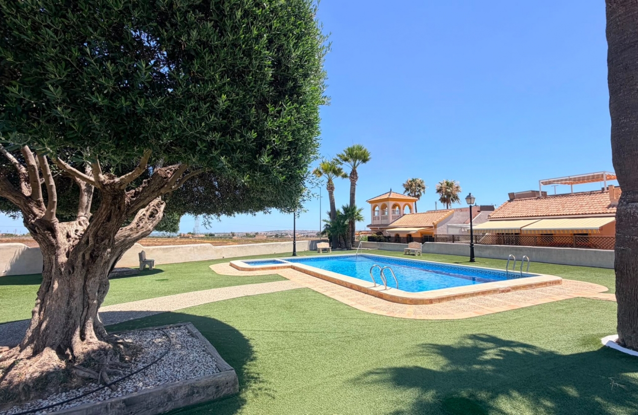 Resale - Semi-detached - Los Montesinos - Urbanizacion montesol