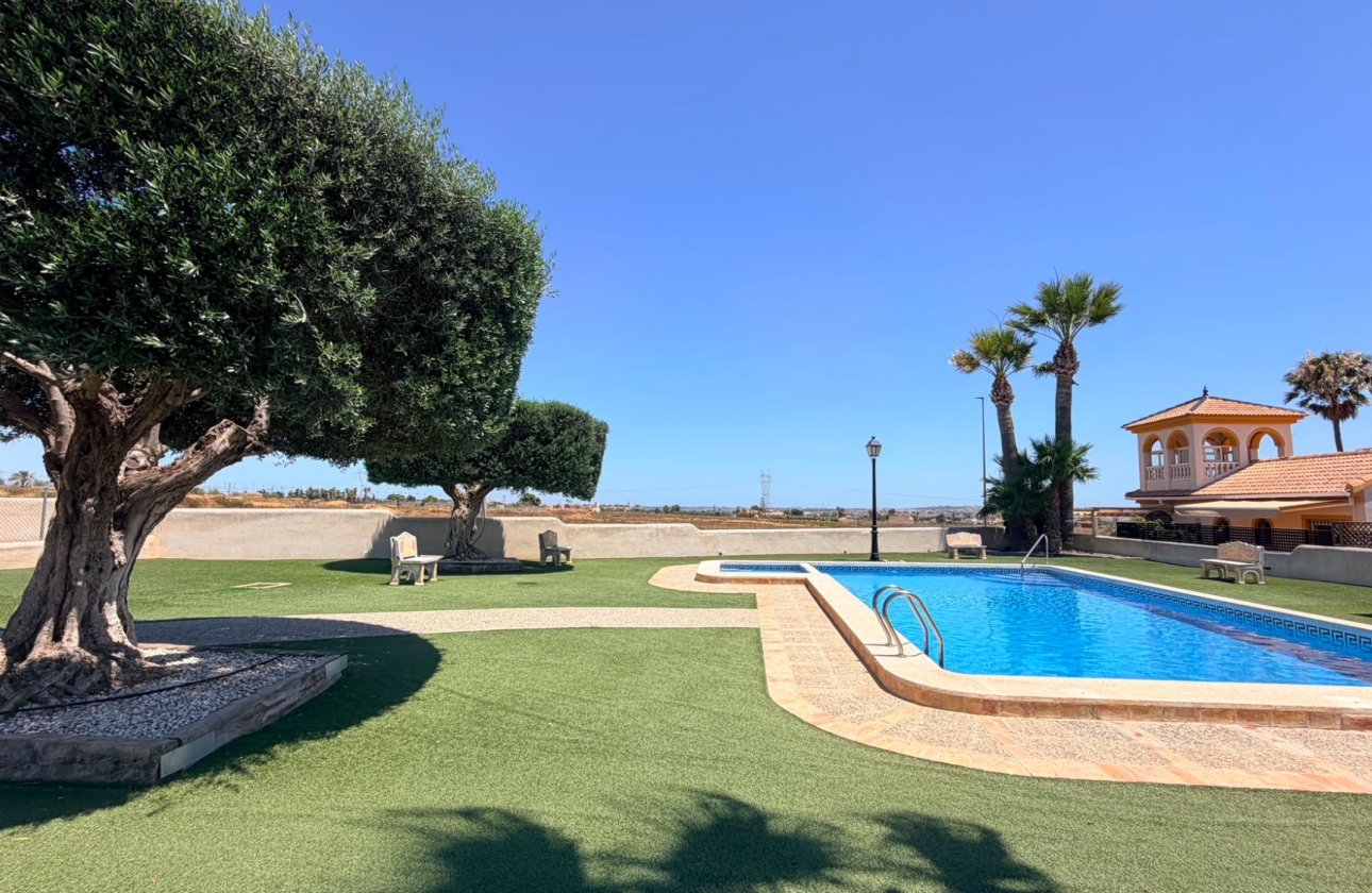 Resale - Semi-detached - Los Montesinos - Urbanizacion montesol