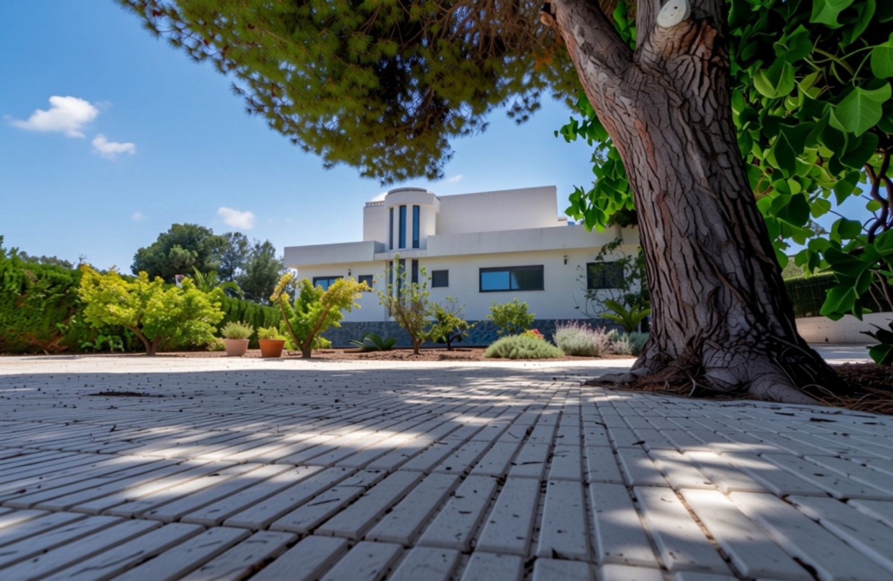 Resale - Villa - San Vicente del Raspeig - Calle las Cigüeñas