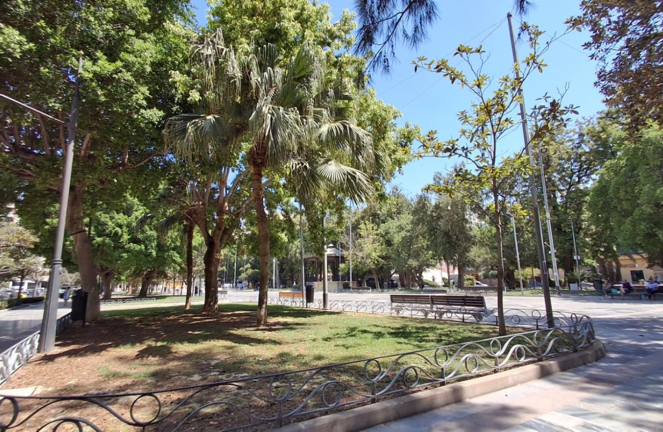 Reventa - Apartament / Duplex - Orihuela - Zona Centro