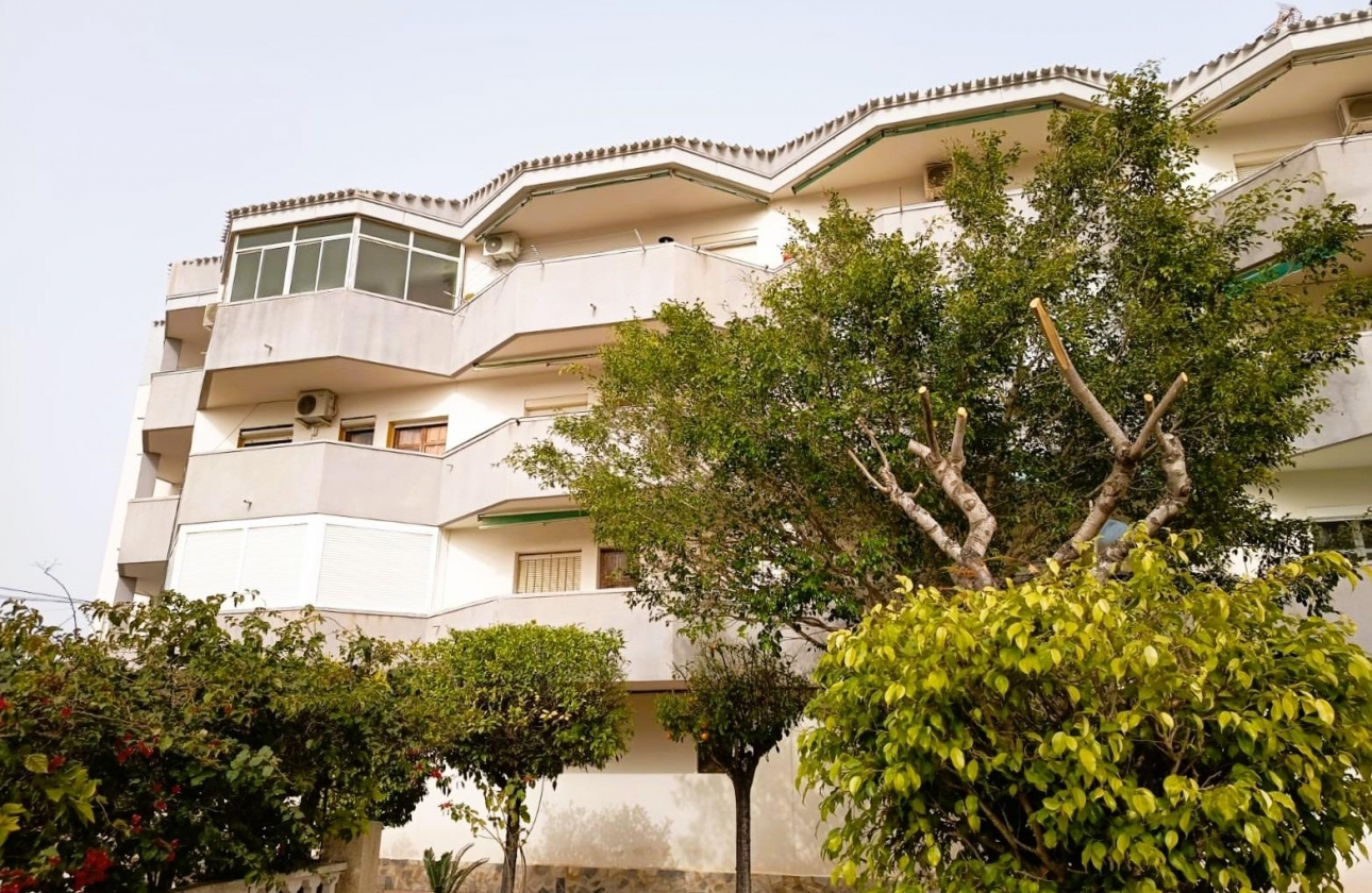 Reventa - Apartment - Orihuela Costa - La Regia