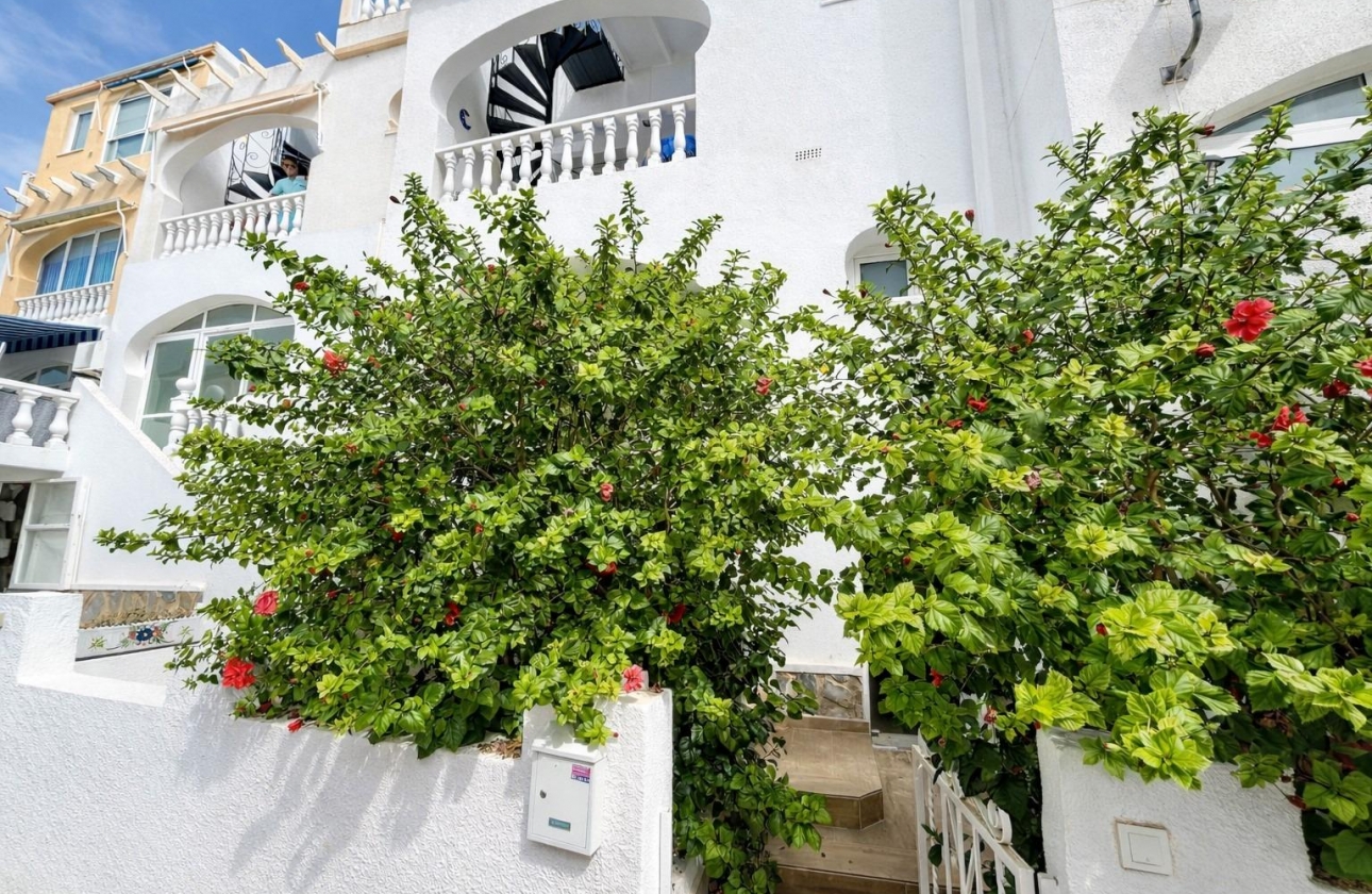 Reventa - Apartment - San Miguel de Salinas - Las Filipinas