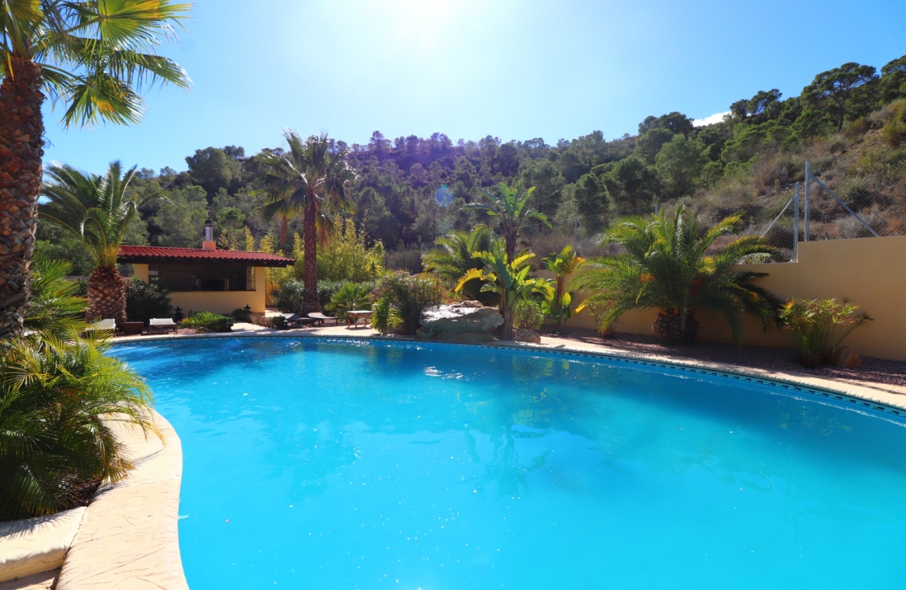 Reventa - Country House - Aspe - Aspe - Country