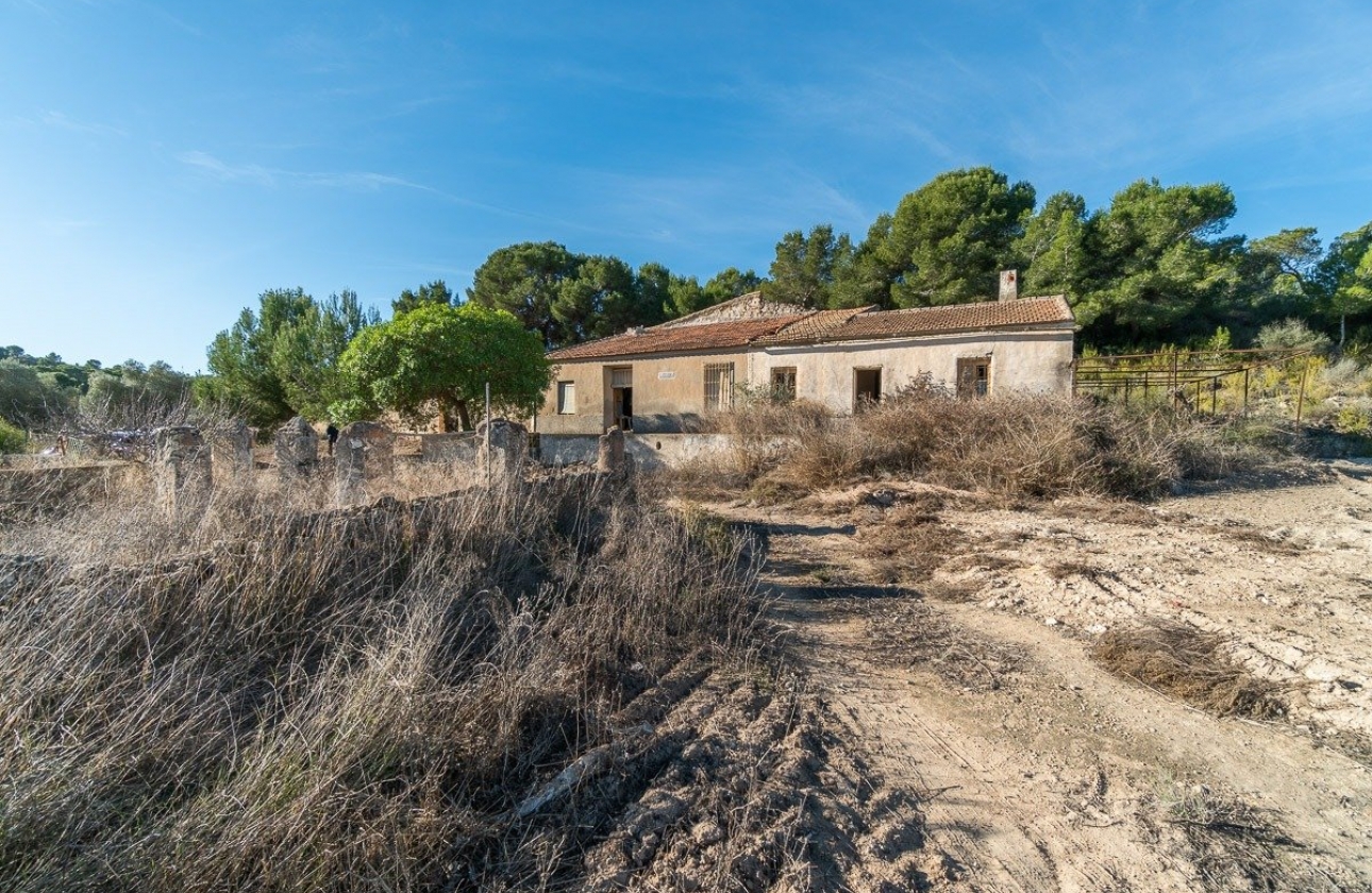 Reventa - Country House - Pilar de la Horadada - Pinar de la Perdiz
