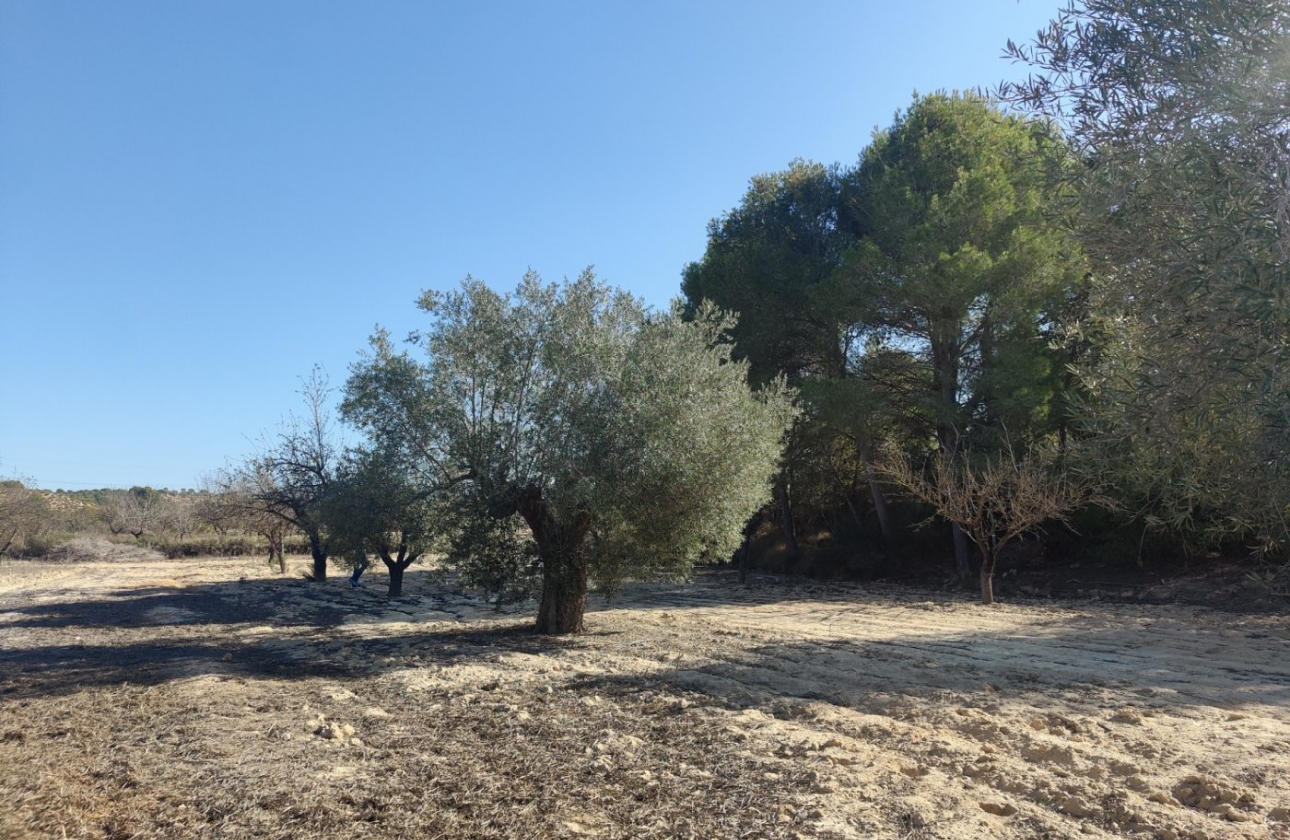 Reventa - Country House - Torremendo