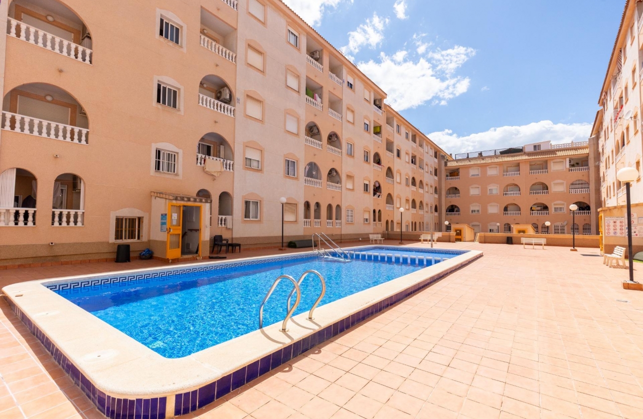 Reventa - Estudio - Torrevieja - Centro - Muelle Pesquero