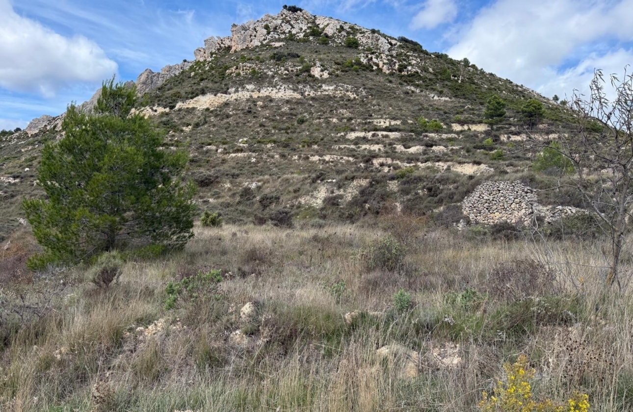 Reventa - Parcela / Terreno - Confrides - Barranc de Xarquera