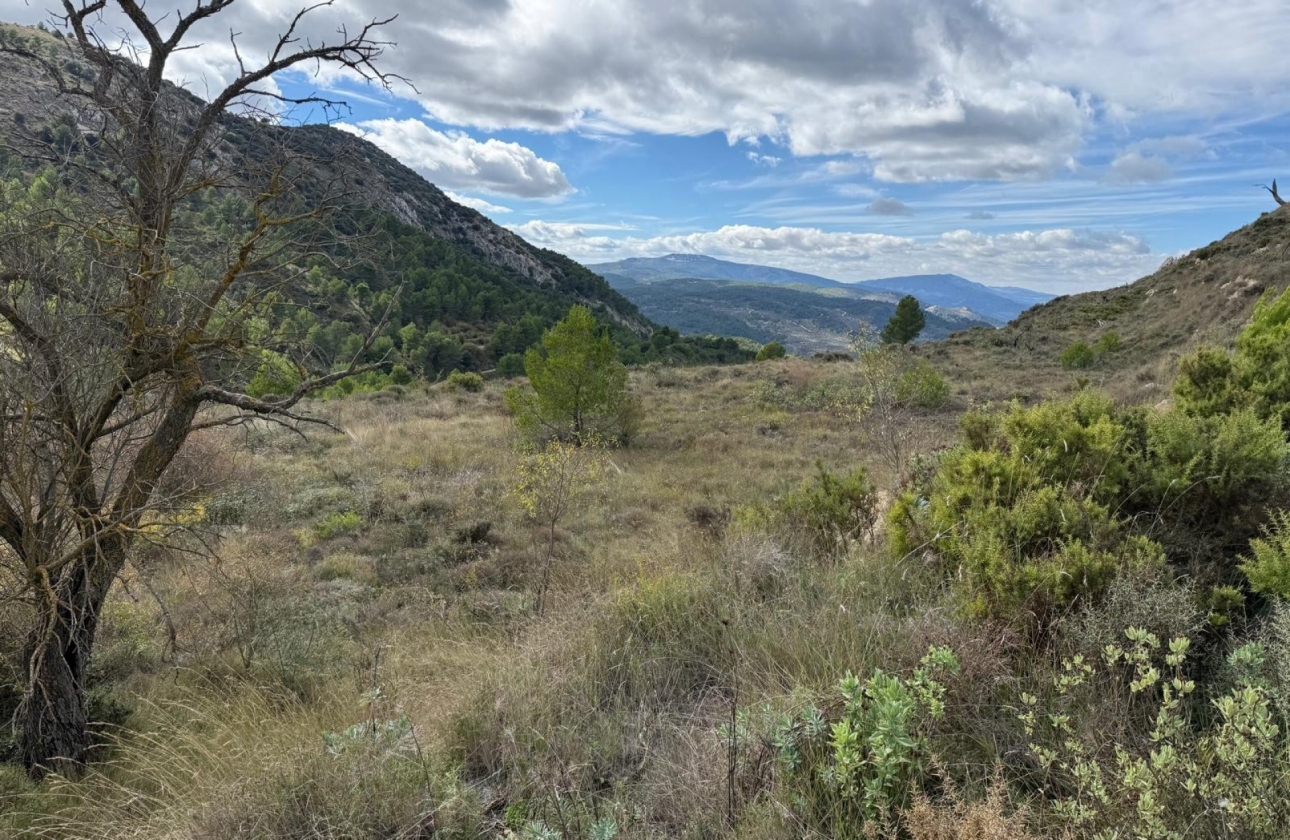 Reventa - Parcela / Terreno - Confrides - Barranc de Xarquera