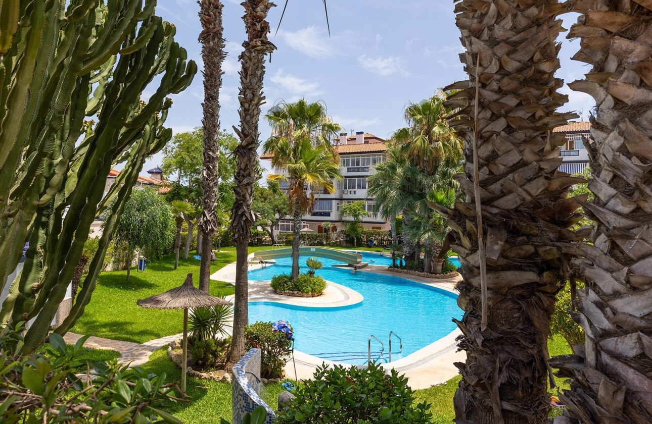 Reventa - Pareado - Torrevieja - La Mata