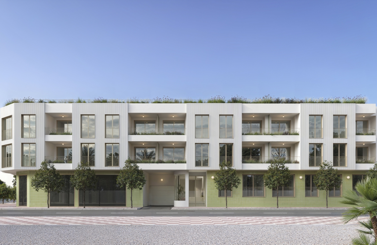 Rynek pierwotny - Apartament - Jacarilla