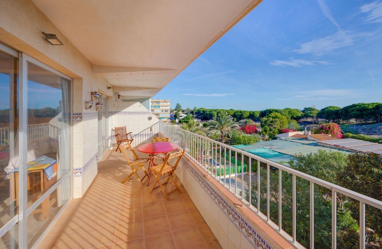 Rynek wtórny - Apartament - Guardamar del Segura - Pinomar