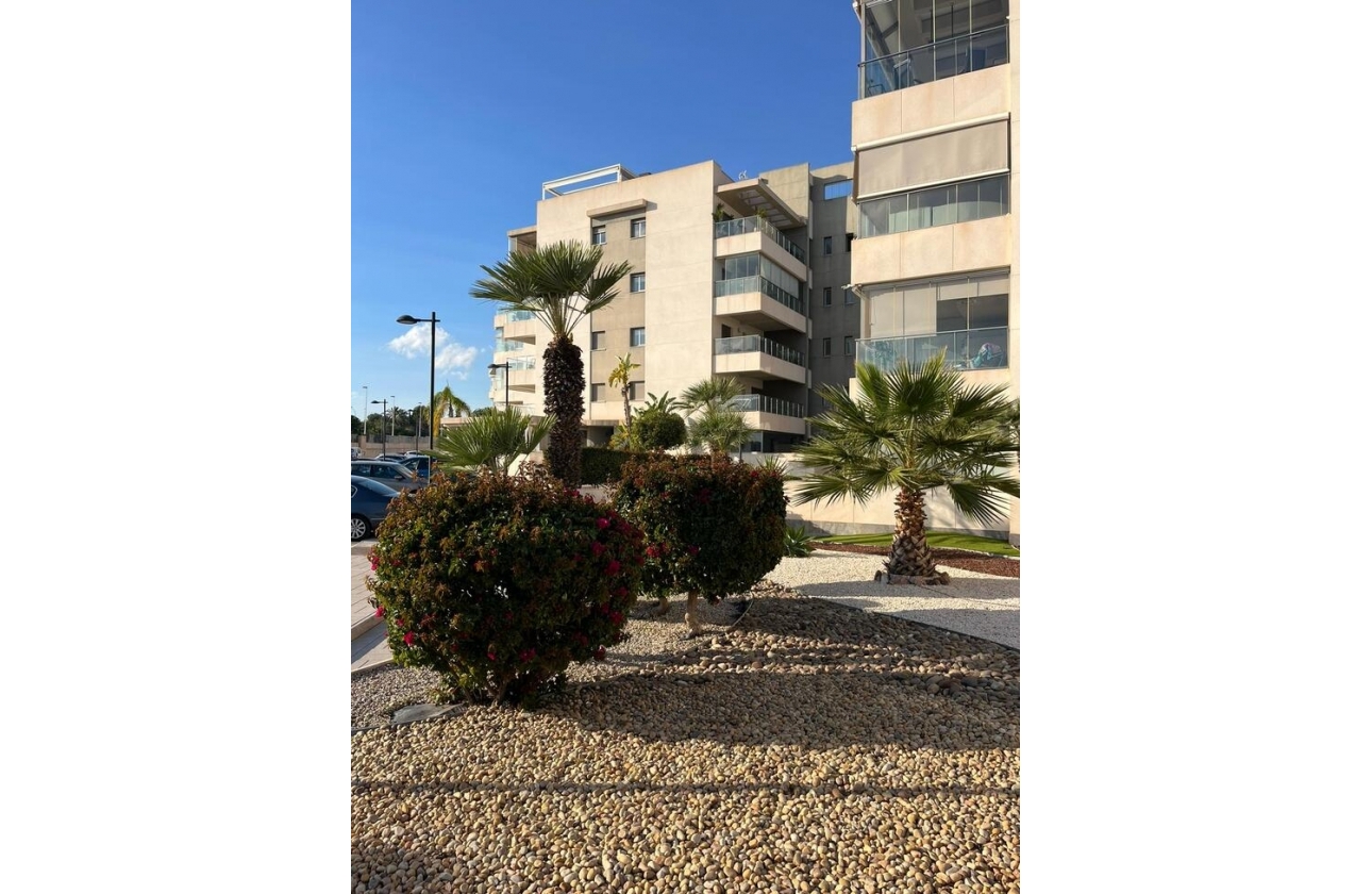 Rynek wtórny - Apartament - Orihuela Costa - Los Dolses