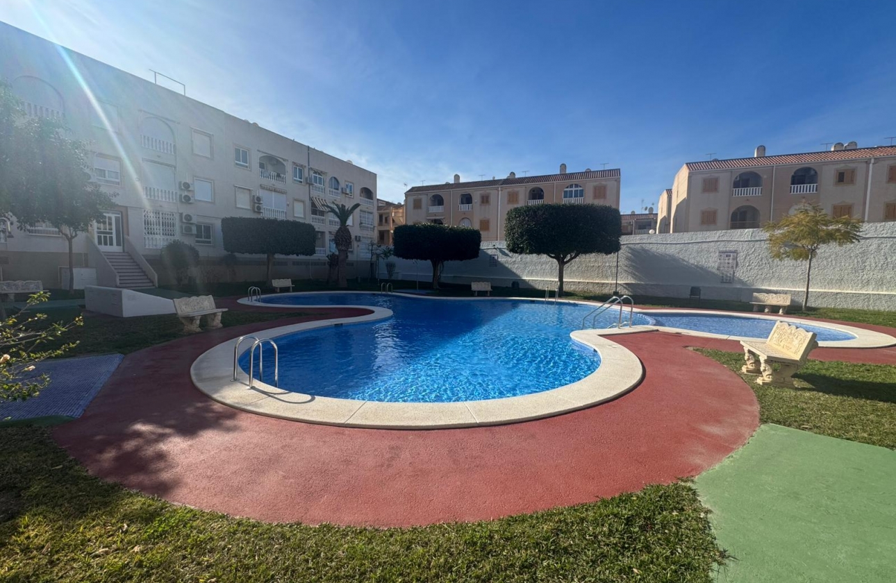 Rynek wtórny - Apartament - Torrevieja - Acequion