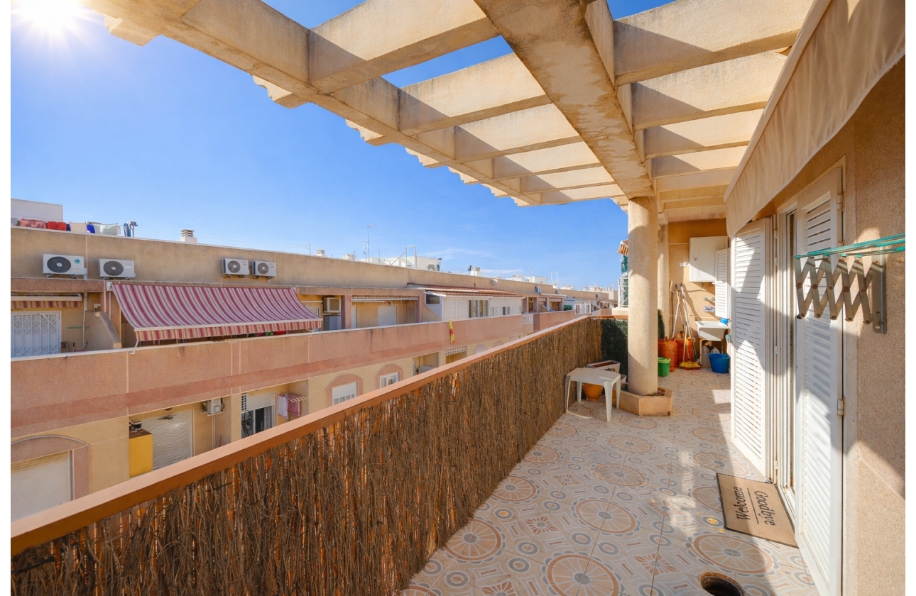 Rynek wtórny - Apartament - Torrevieja - Parque de Las Naciones