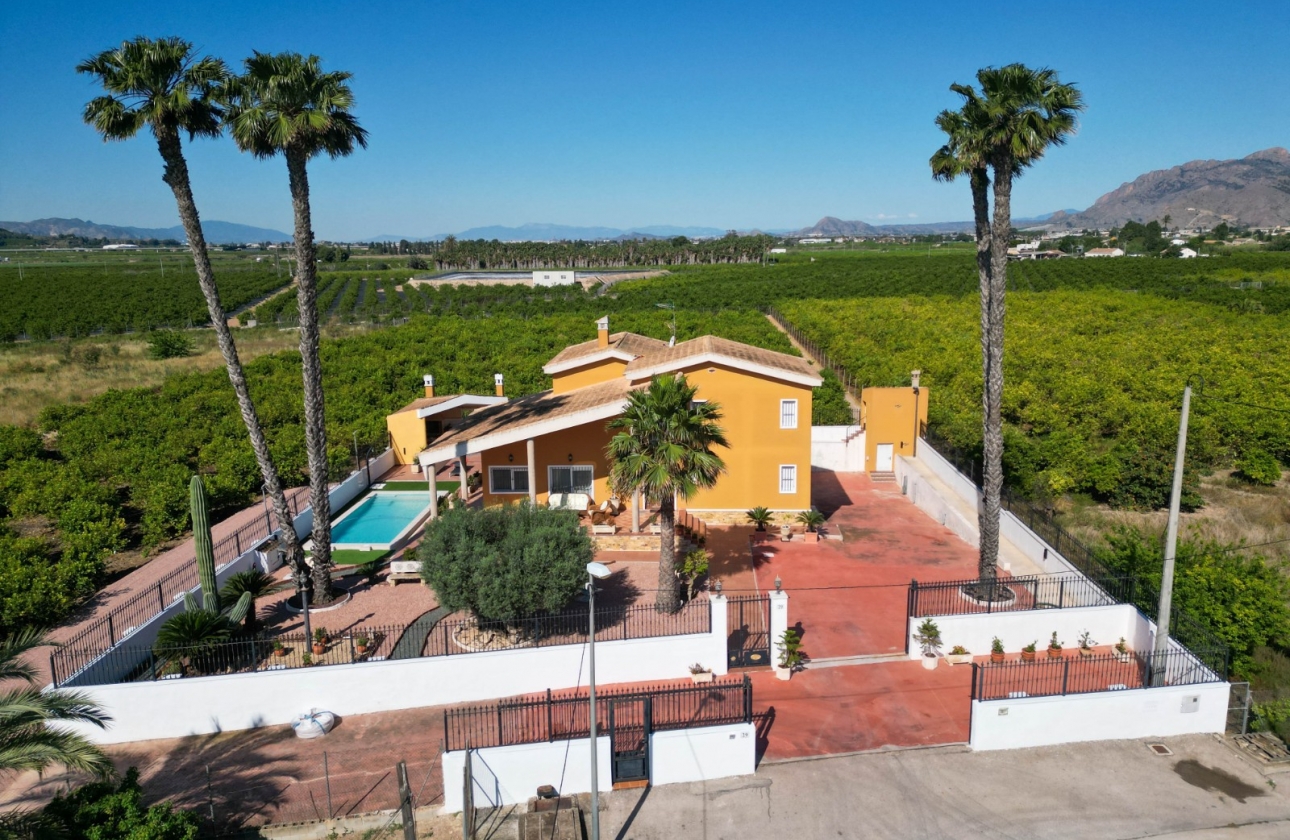 Rynek wtórny - Finca - Country Property - Orihuela
