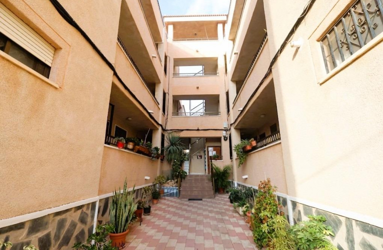 Rynek wtórny - Studio/Kawalerka - Torrevieja - La Siesta - El Salado -  Torreta