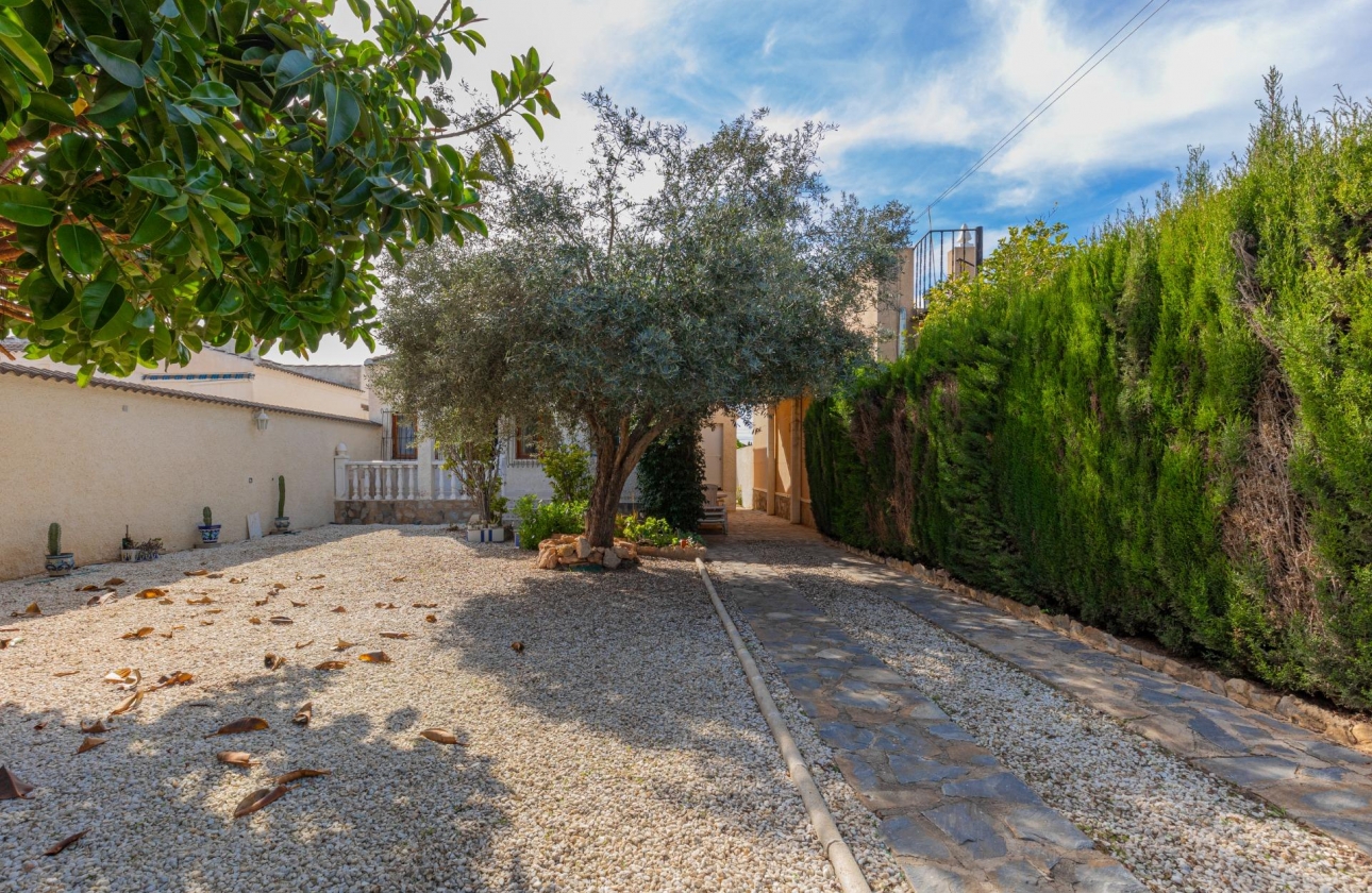 Rynek wtórny - Villa - Torrevieja - El Chaparral