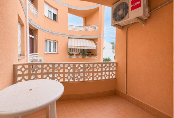 Studio/Kawalerka - Rynek wtórny - Torrevieja - Estacion de autobuses