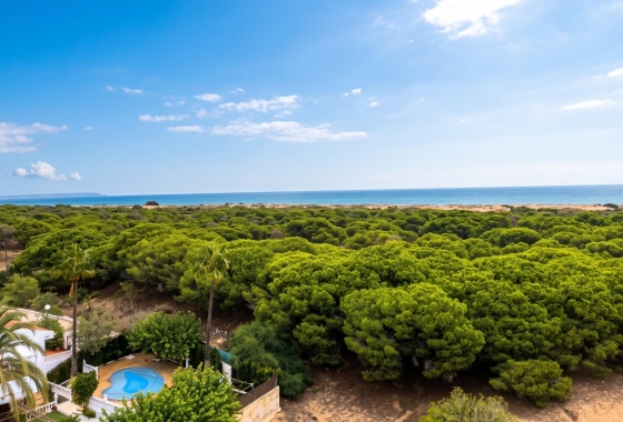 Studio - Resale - Guardamar del Segura - Lomas de Polo-Pinomar