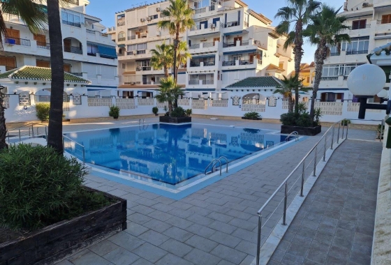 Studio - Resale - Torrevieja - La Mata