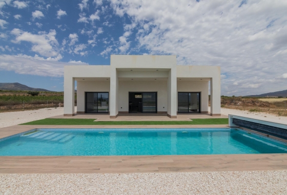 Villa - New Build - Pinoso - Campo