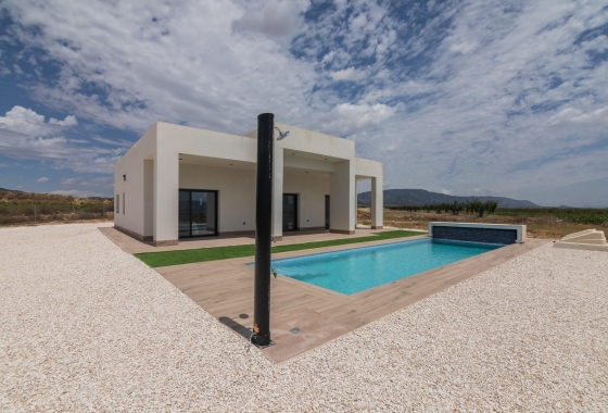 Villa - New Build - Pinoso - Campo