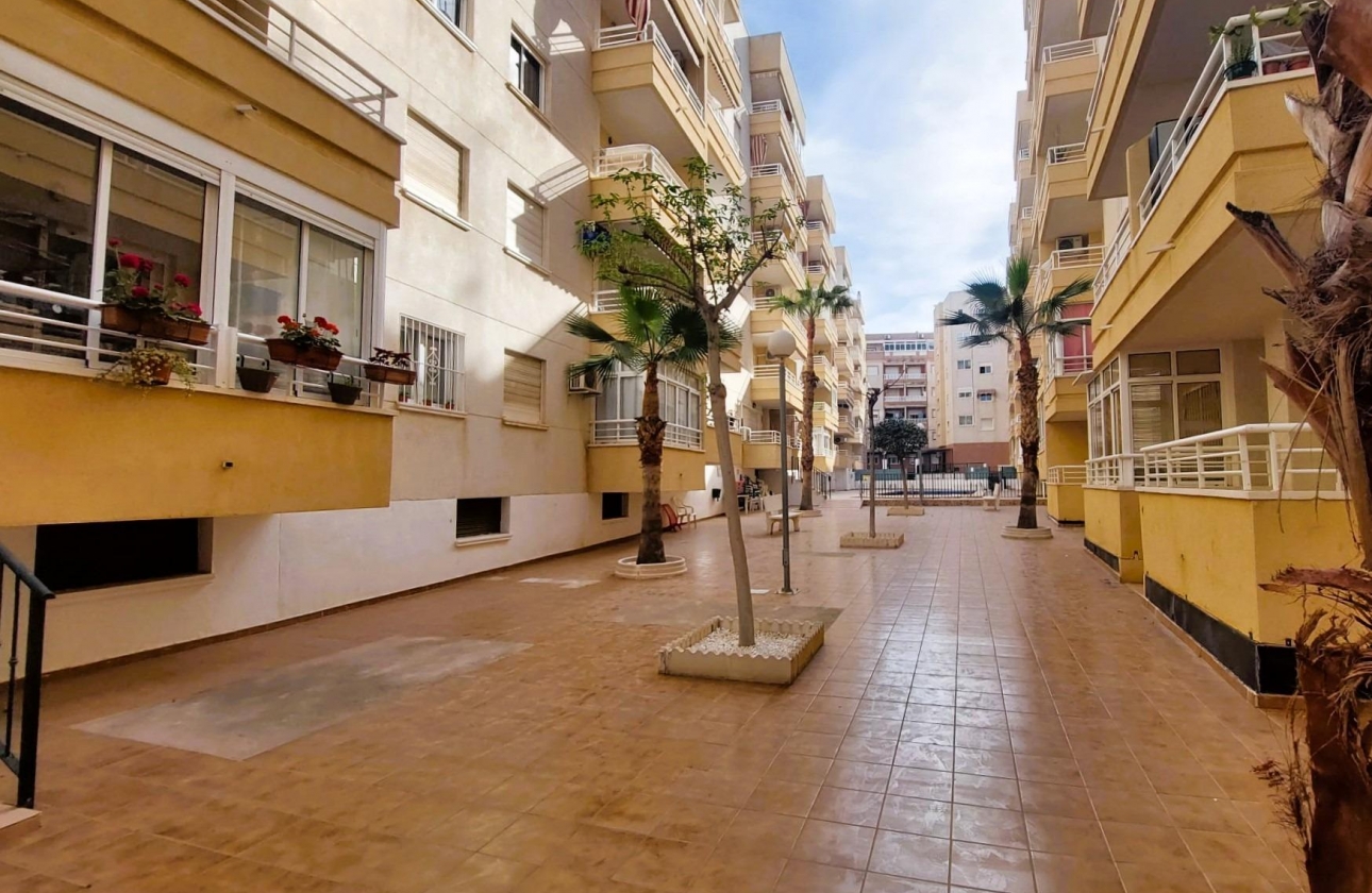 Reventa - Apartment - Torrevieja - Centro