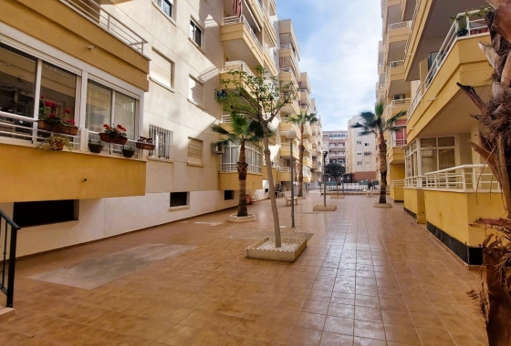 Rynek wtórny - Apartament - Torrevieja - Centro