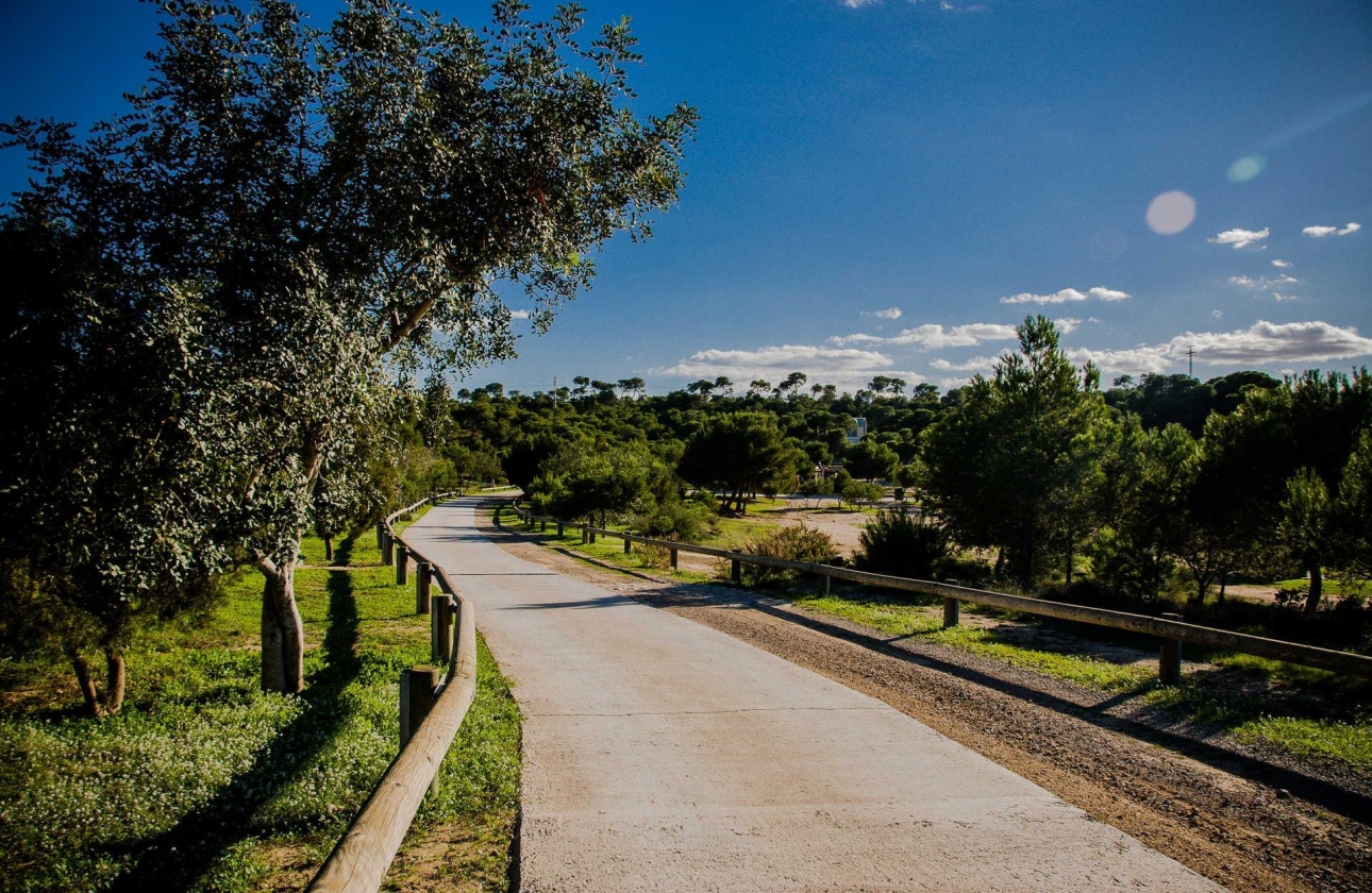 Obra nueva - Villa - Rojales - Doña Pepa