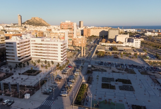 Obra nueva - Apartment - Alicante - Benalua