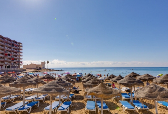 Rynek wtórny - Apartament - Torrevieja - Playa de los Locos