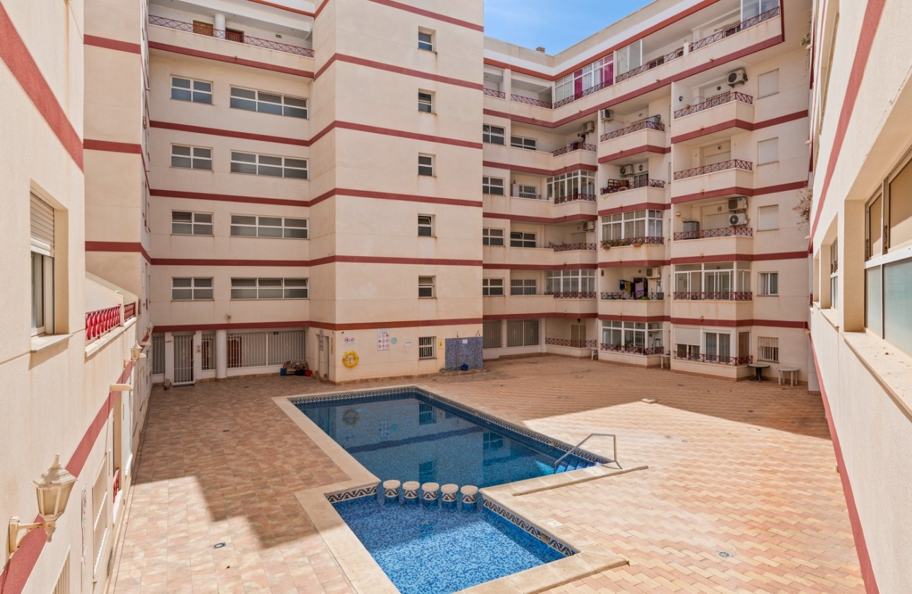 Rynek wtórny - Apartament - Torrevieja - Parque las naciones