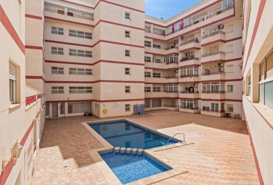 Reventa - Apartment - Torrevieja - Parque las naciones