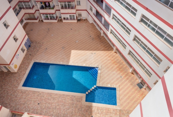 Rynek wtórny - Apartament - Torrevieja - Parque las naciones