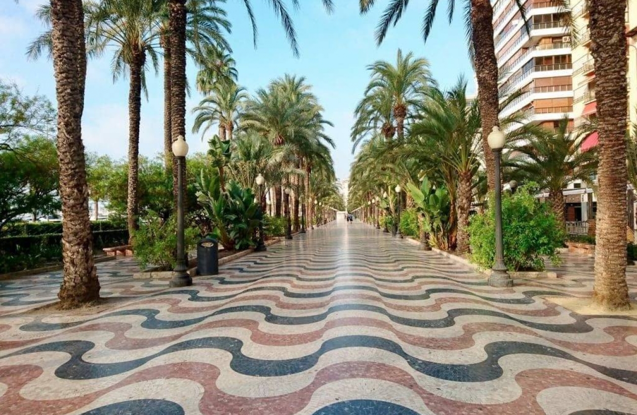 Rynek pierwotny - Apartament - Alicante - Benalua