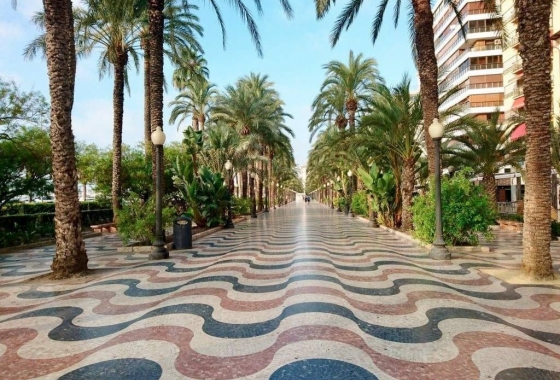 Rynek pierwotny - Apartament - Alicante - Benalua