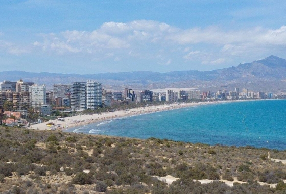 New Build - Apartment - San Juan de Alicante - Fran Espinos